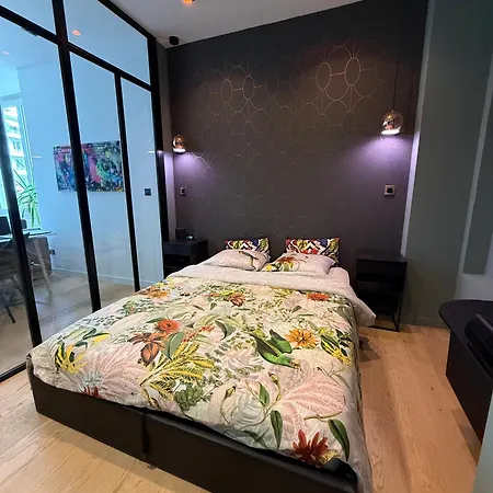 公寓 Gallia Le Loft *